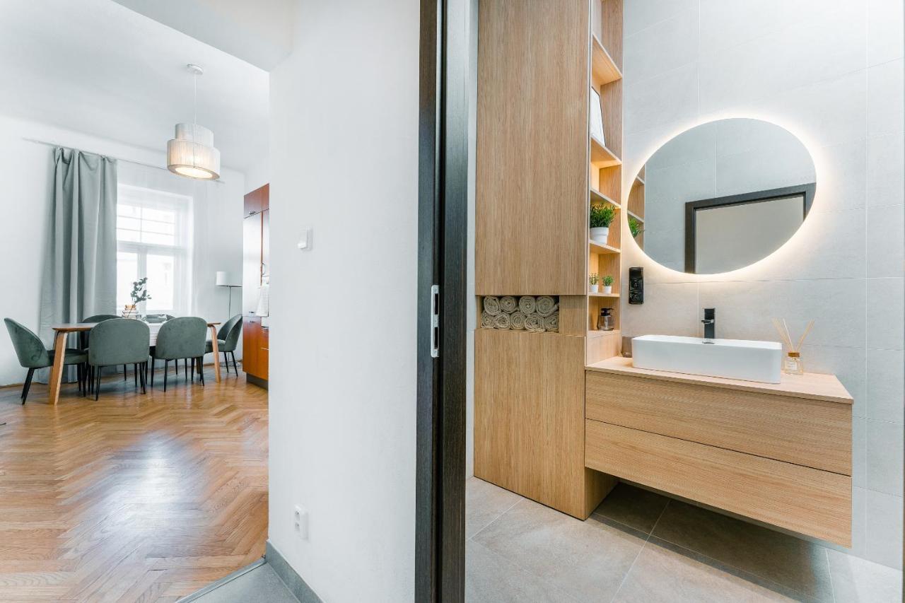 Spacious Near Center 布拉格